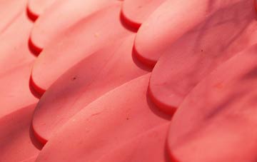 Brucklebog plastic roof costs