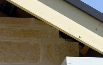 soffit repair Brucklebog